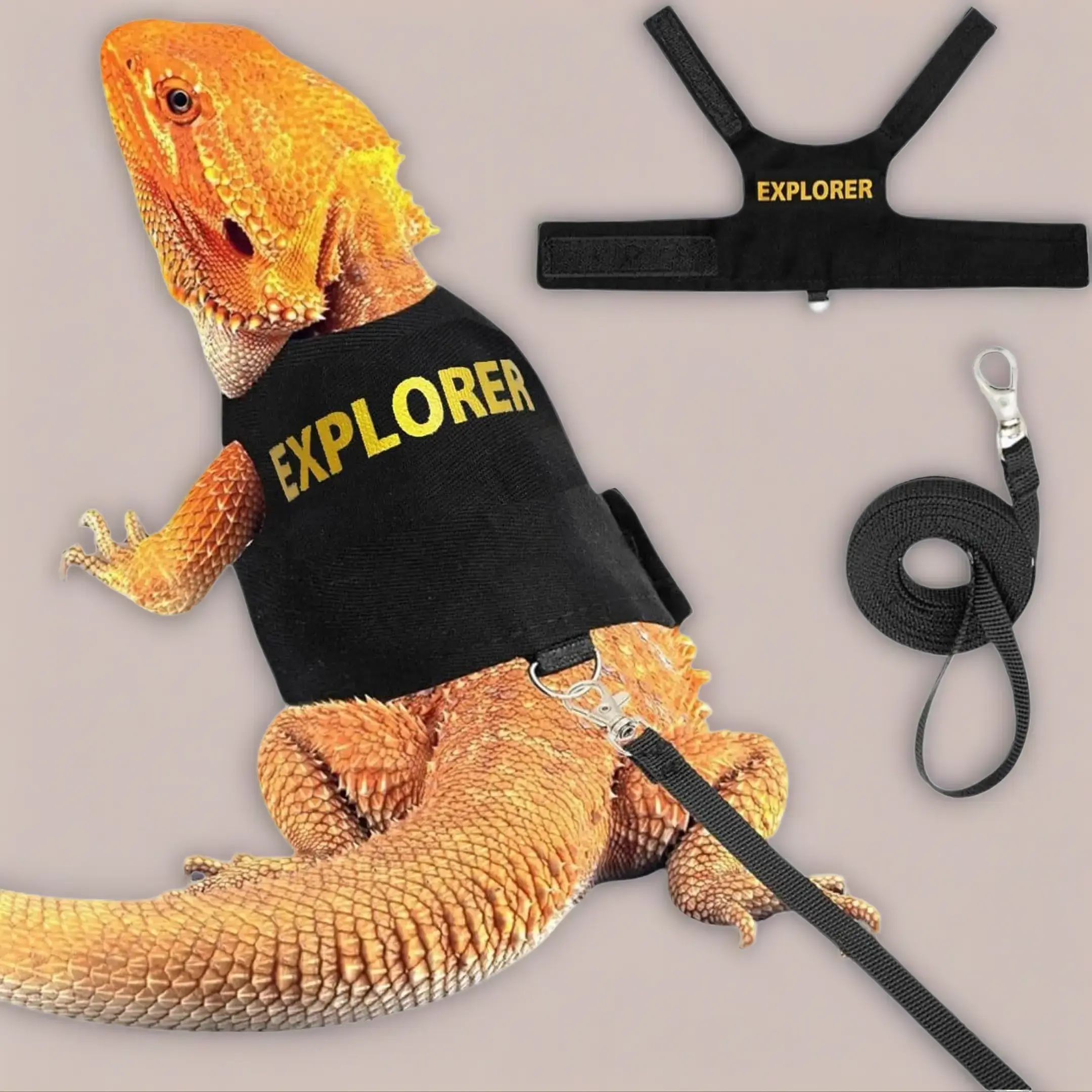 2-in-1 Harness & Wear Adjustable Canvas Reptile Chest Harness with Straps & 1.6m Leash - Outdoor Pet Outing Set for Chameleons, Small Animals like Squirrels, Harness Straps, Adjustable Velcro
