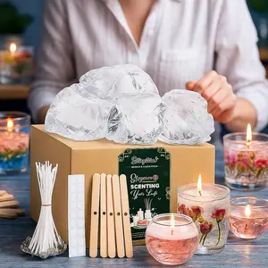 Blingfun Gel Wax Candle Making Kit, 4 Colors/400g Jelly Wax, 20 Wicks & Stickers, 5 Wick Holders, Complete DIY Scented Decorative Candles Set