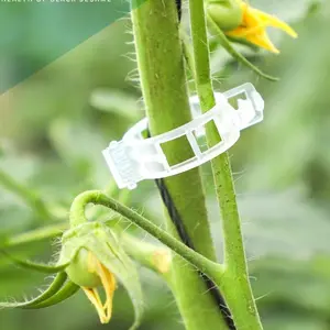 300 Pack Garden Plant Clips Plastic Vine Tie Clips Branch Holder Hanging Vine Support Tomato Vine Fixing Clip Grow Upright