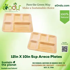 Areca 5CP Palm Leaf Plate – 12" | Biodegradable 5-Compartment Plate
