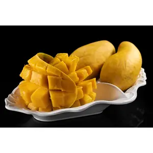 Manila Mango Seedling Live Plant