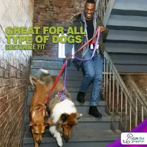 Dog Harness Walking Kit and Leash Set