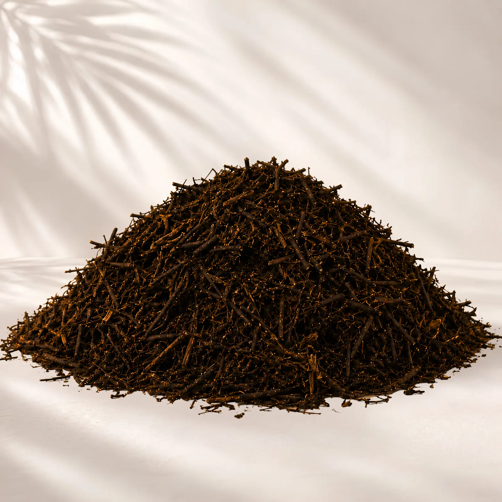Tree Fern Fiber | Premium Moisture-Retentive Substrate for Orchids & Epiphytes