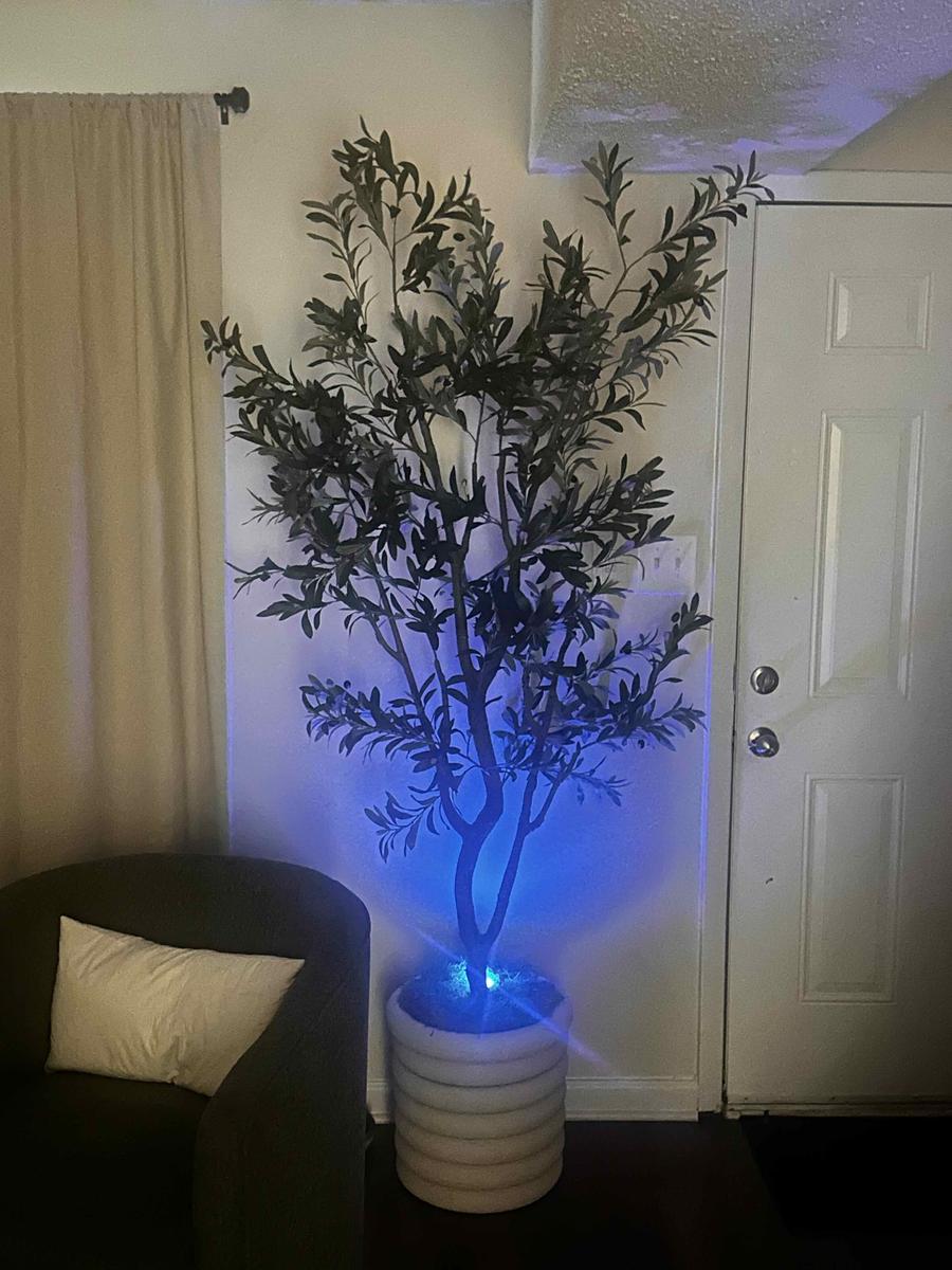 Item: 7FT 1296 leaves 54 fruits