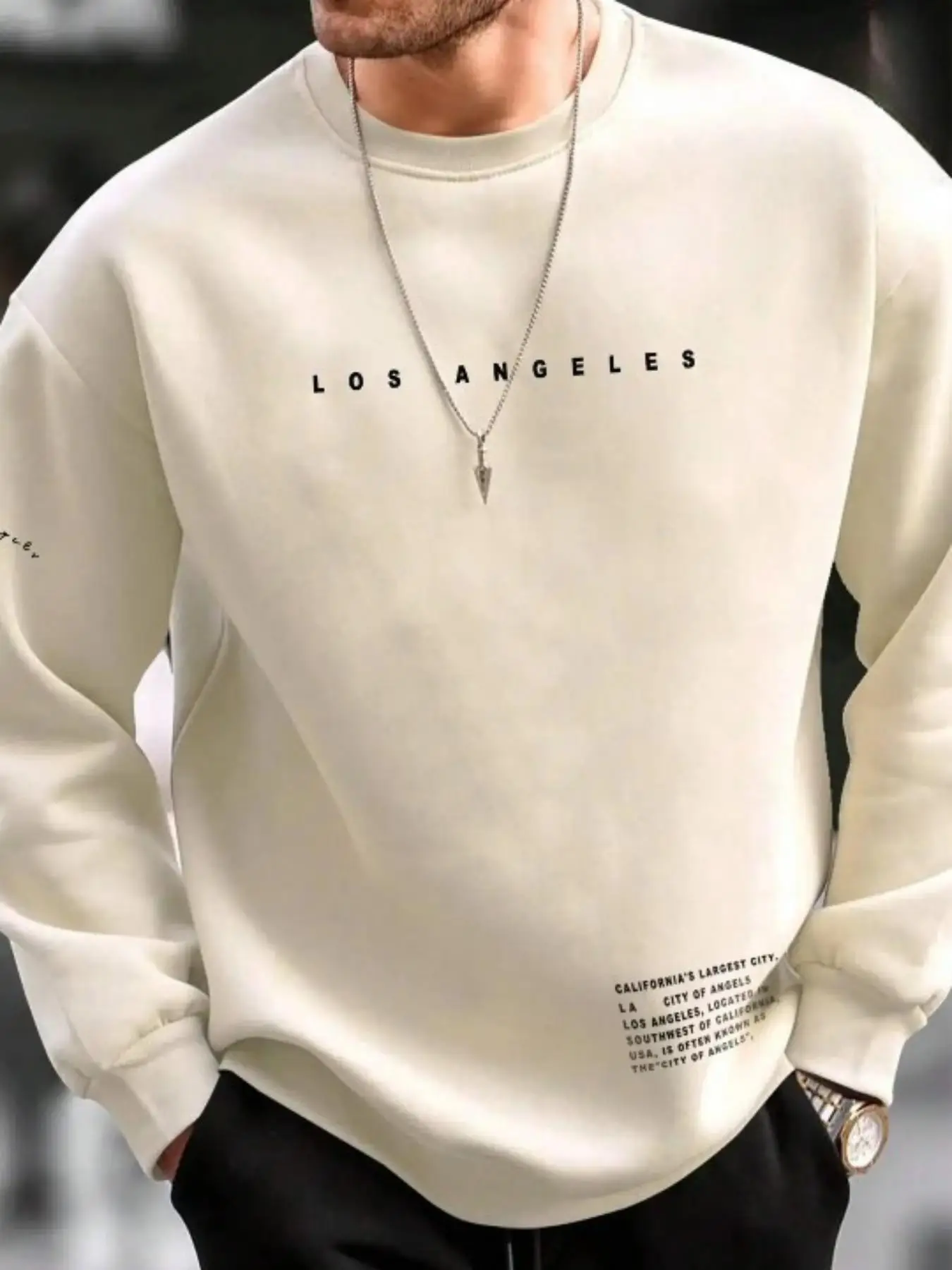 Men's Loose Letter Print Drop Shoulder Sweatshirt, 2024 Trendy Vintage Casual Long Sleeve Crew Neck Pullover for Fall & Winter, Men's Clothes for Dail