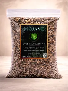 Mojave | Desert Grit Cacti & Succulent Mix