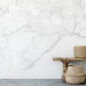 Light Marble Mural