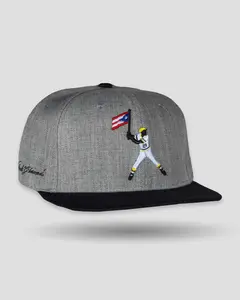 Clemente Swinging Flag Cap