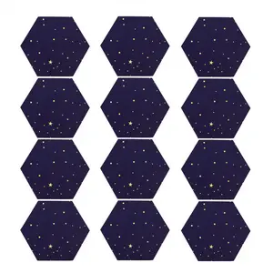 12 Pack Starry Sky Hexagon Acoustic Panels,Sound Proofing Padding,Sound Absorbing Panel for Studio Acoustic Treatment