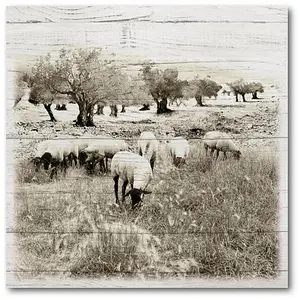 Courtside Market In The Fields 12x18 Canvas Wall Art