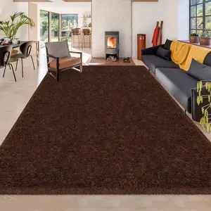 6x9 Ft Brown Area Rug for Bedroom Living Room,Washable Soft Shaggy Large Chocolate Rugs,Non Slip Fuzzy Furry no Shedding Thick Big Carpets for Nursey Kid Girl Boys Teen Home Chritmas