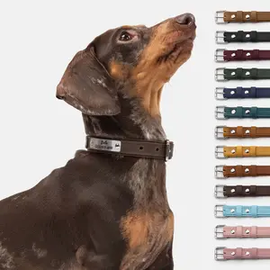 Personalized Leather Dog Collar with Silent ID Tag - Solid Color Collar for Daily Walks - Adjustable Pet Collar Fits Dogs Up to 44 lb - Custom Engraved Stainless Steel Nameplate - Cute Pet Collar Unique Style Collar for Dogs