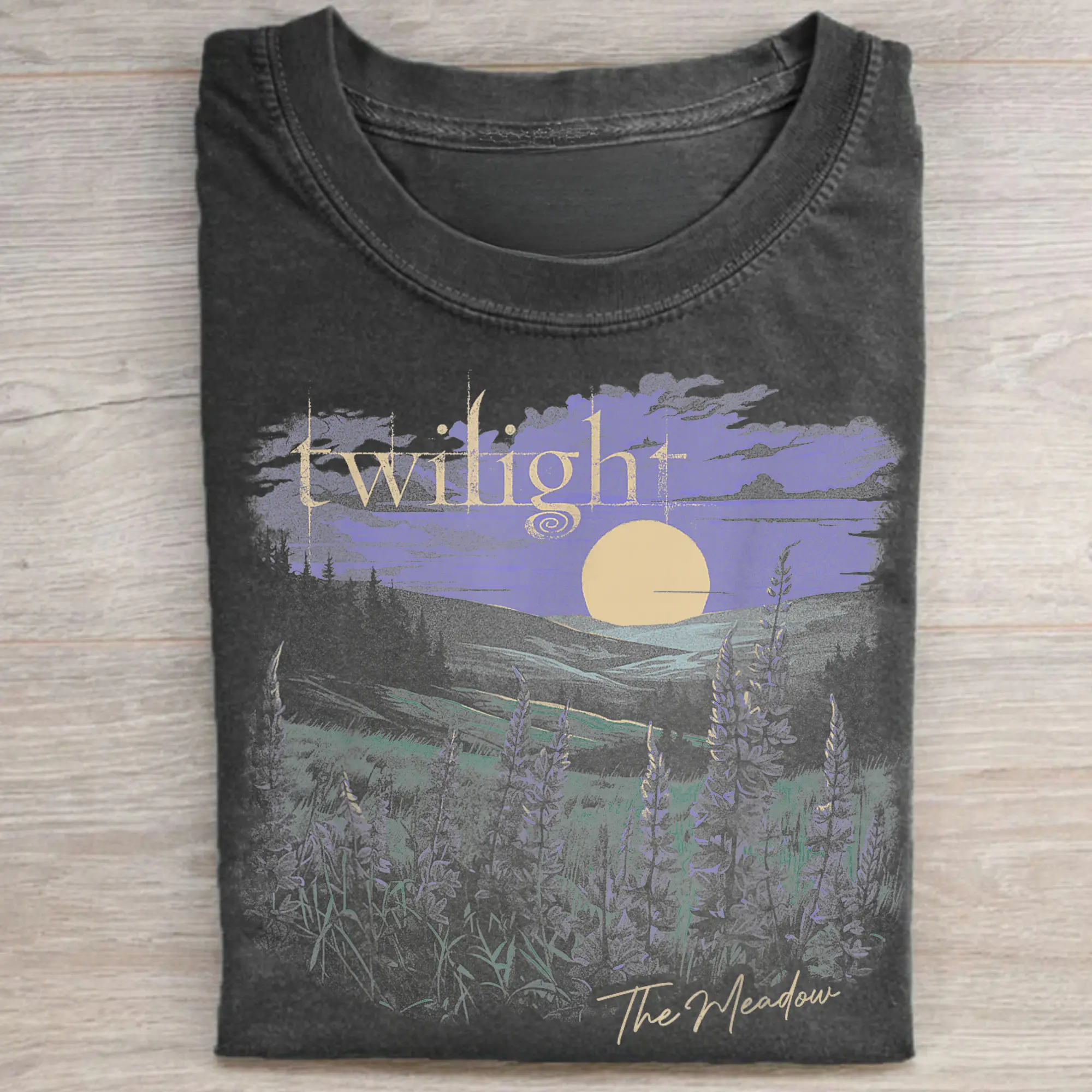 Gildan Men's Casual Short-Sleeve Graphic T-Shirts - Vintage The Twilight Saga The Meadow Print Top, Bella Swan/Edward Cullen/Jacob Black Vampire Tee, Iconic Series Gift for Film Fans (2XL)