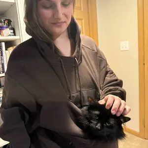 Cat in pouch 4