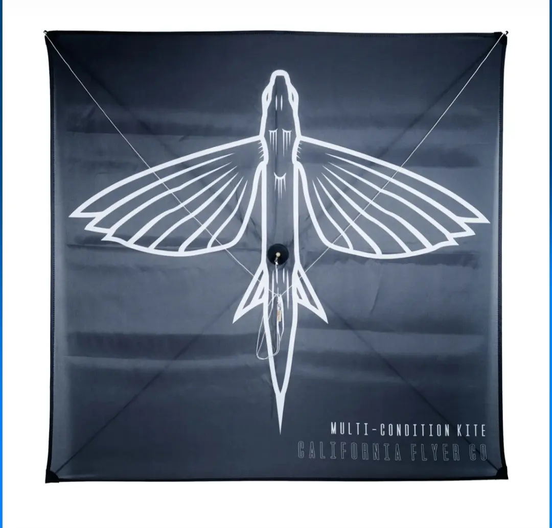 CA Flyer Multi Condition Kite