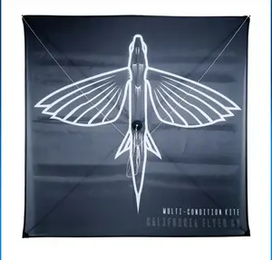 CA Flyer Multi Condition Kite