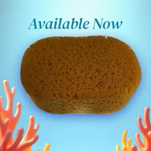 Large oval loofah soft textured sponge for bath uses and diy purposes