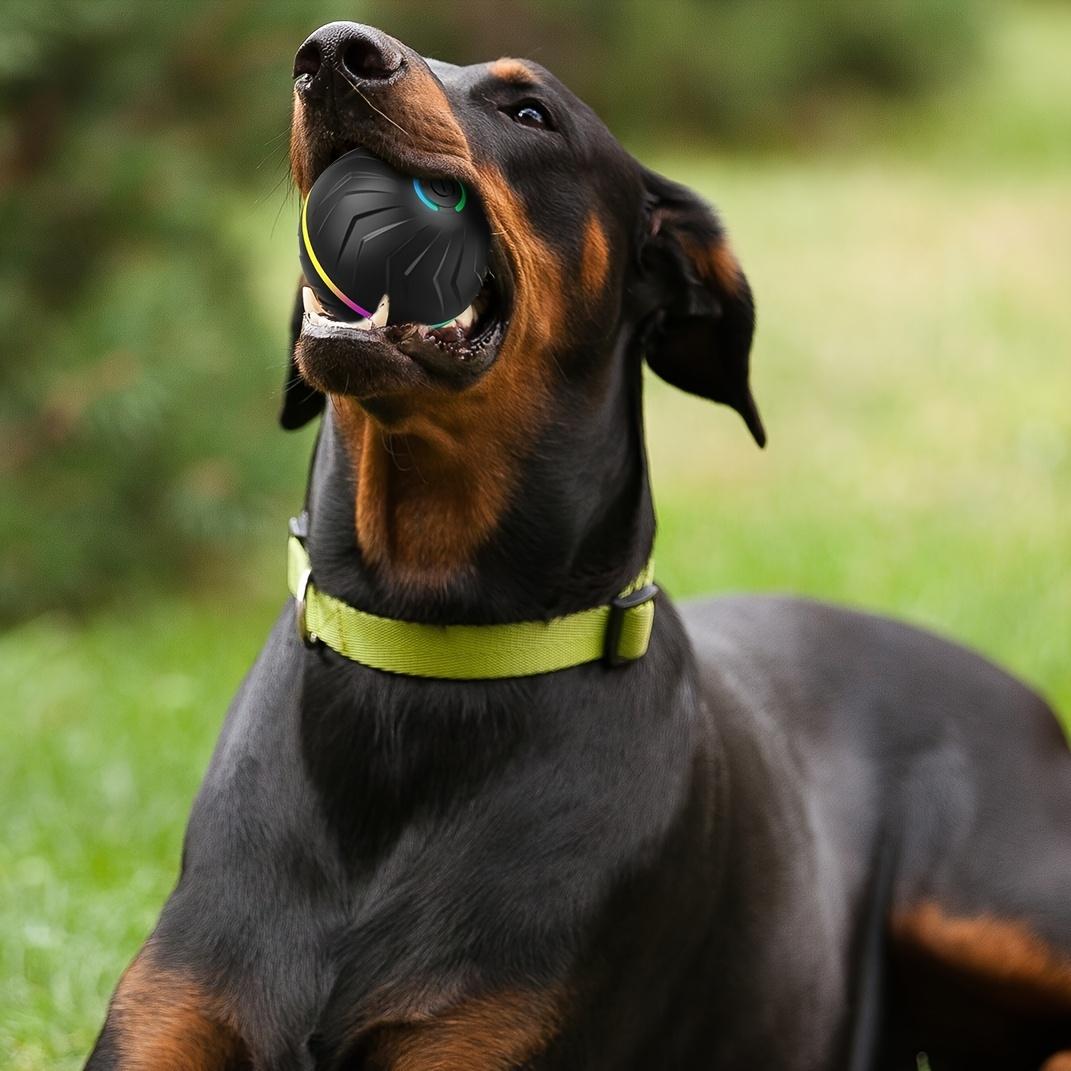 Intelligent teasing dog ball, interactive dog toys, random rolling & jumping, dazzling colorful lights, long life 4h, comes with charging cable & manual! Multi-scene rolling & jumping, suitable for: wooden floors, tile floors, lawns, carpets