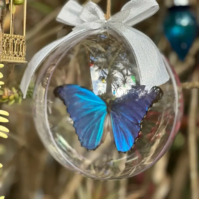 Blue Morpho Butterfly Ornament in plastic Sphere with Bow for Festive Decor