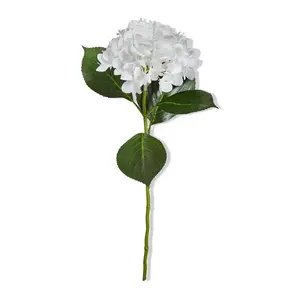 Hydrangea Stem