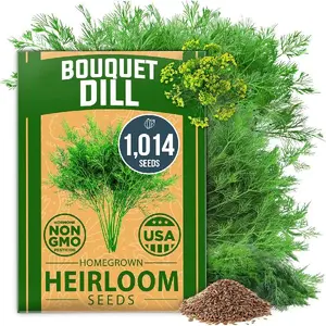 Dill Seeds for Planting - 1014 Premium Bouquet Dill Seeds, Non-GMO and Heirloom Herb Seeds for Planting Outdoors, Grow Your Fragrant Dill Herb Garden (Anethum graveolens)