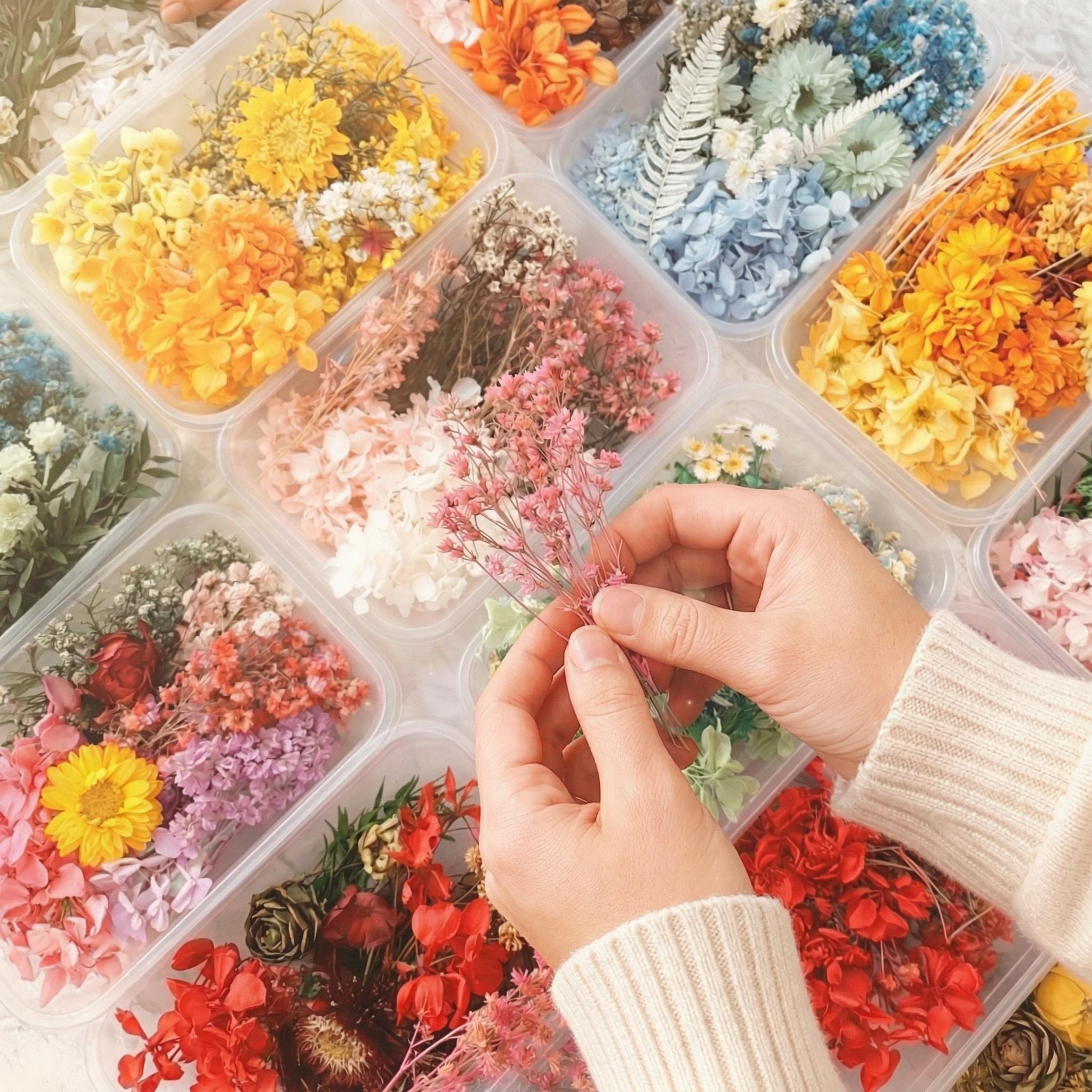 4 boxes of dried flowers in random colors, suitable for handmade DIY aromatherapy candle making, resin dried flower jewelry pendants, handmade floral greeting cards, photo frames, and more—perfect decorations for Christmas and Halloween | Multiple colors, 4 boxes of dried flowers in random colors, suitable for handmade DIY aromatherapy candle making, resin dried flower jewelry pendants, handmade floral greeting cards, photo frames, and more—perfect decorations for Christmas and Halloween | Multiple colors,