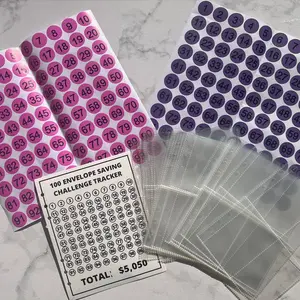 DIY 100 Envelope Saving Challenge Kit Plastic