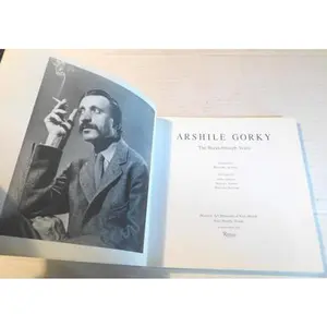 USED-Arshile Gorky: The Breakthrough Years by Dore Ashton (Paperback)