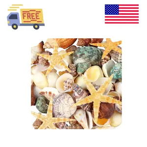 80+ Pcs Natural Seashells, Mixed Starfish Sea Shells for Crafts, Various Sizes Ocean Shells Conch