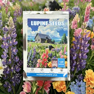 120 Pcs Perennial Lupine Seeds, Non-GMO Heirloom, Cold Hardy Wildflower, Easy Grow, Tall Spiked Bloom for Garden Backyard Fence Landscape