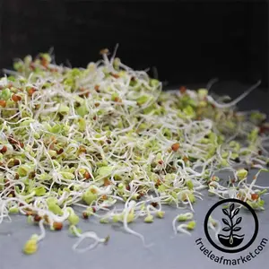 Sprouting Mix - Health Blend - Organic Sprouting Seeds