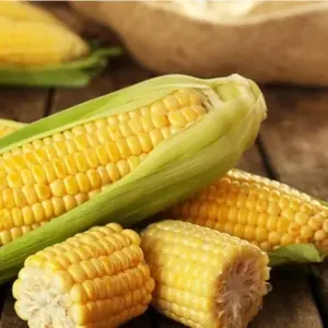30 Seeds - Golden Bantam Corn Heirloom Seeds - Non-GMO, Open-Pollinated - A Time-Honored Sweet Corn Variety for Rich Flavor and Abundant Harvests