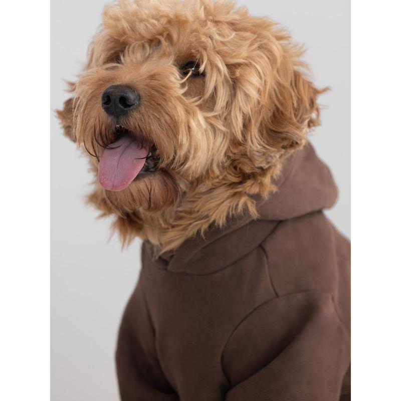 Comfrt | Standard Paw Hoodie