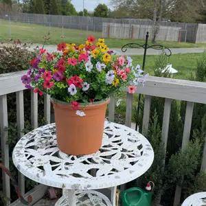 Artificial Flowers for Outdoor Indoor Garden Home Decoration, Faux Flower Daisy with Eucalyptus Leaves Fake Plants Greenery Boxwood Porch Patio, 12 Bundles (Mix Pink Red Purple Yellow)