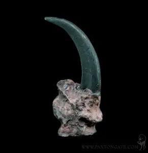 Faux Resin Eagle Claw