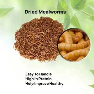 Dried Mealworms for Wild Birds & Backyard Chickens - Nutritious Bird Feed, Duck & Turtle Food, Hamster Treats | Bulk Pet Supply