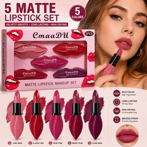 5Pcs Lip-Shaped Matte Lipstick Set，Professional Moisturizing Lip Cosmetics for Women with Fashionable Lip Design, Essential for Daily and Holiday Makeup, Moisturized Lipstick Gift