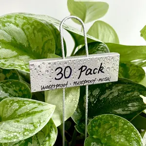 30-Pack Metal Plant Labels Weatherproof Garden Markers,Height 10.6'', Label Area 3.5''X 1.2'' Reusable Nursery Tags for Vegetables Herb Flower Seed Greenhouse - Zinc