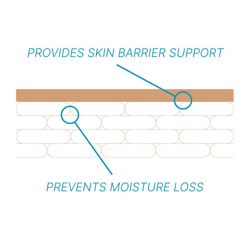 Nutricentials Ceramides + Postbiotics Pump