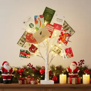 Money Tree Gift Holder, Lighted Birch Tree 2FT 24LED, Battery/USB Powered Timer Light Up Display Twig Gift Card Tree with 6 Clear Clips and 6 Cards for Home Christmas Graduation Photo MemoABSummit Active