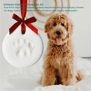 Pet Paw Print & Handprint Clay DIY Kit, Includes Brushes Molds Box Letter Stamps Ribbon, Suitable for Cats Dogs Small Animals