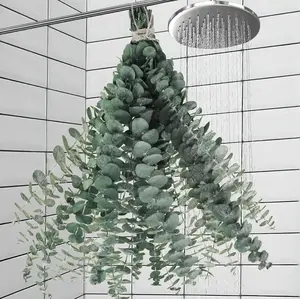11 PCS Dried Eucalyptus Stems for Shower Hanging-17'' Large Preserved Eucalyptus Shower Plants  for Shower Decor, Fresh Eucalyptus Leaves Ornaments