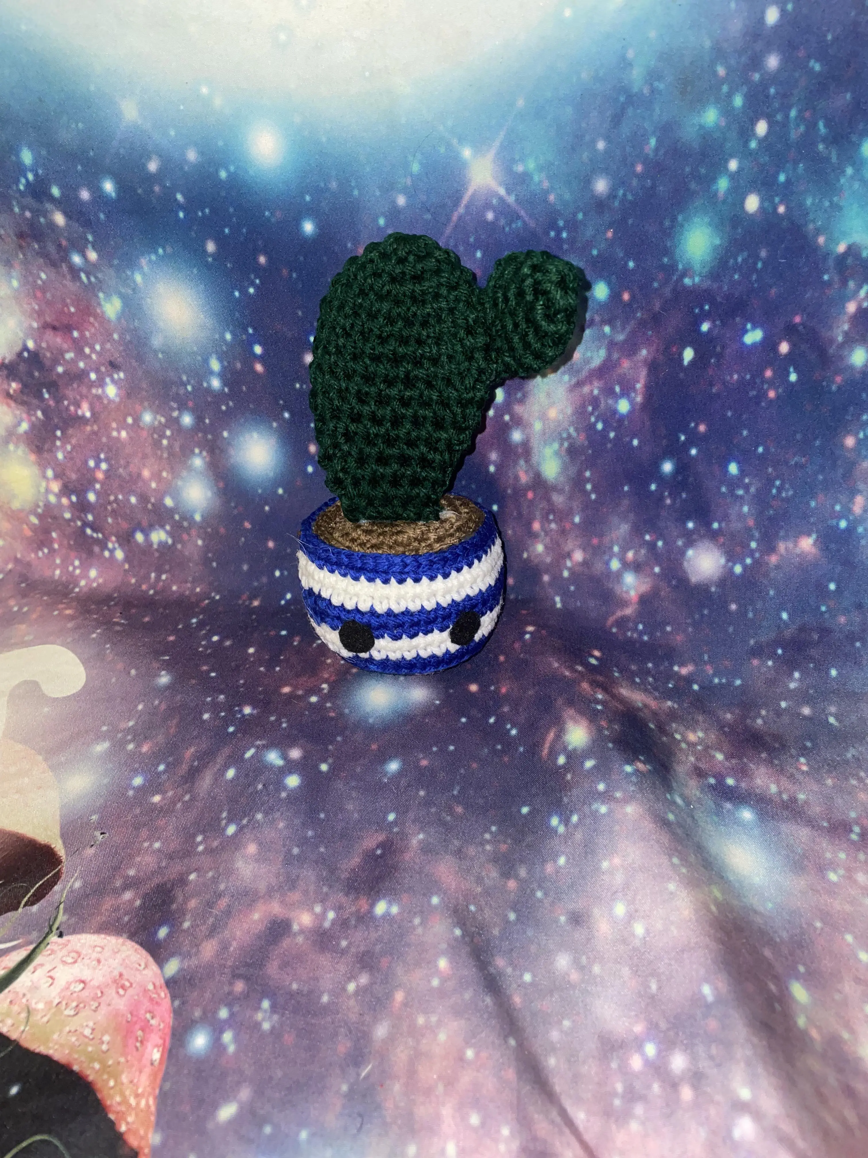 crocheted cactus plant