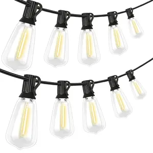 Decorative LED String Lights with Remote, Dimmable Hanging Lights for Room Balcony Party Home Decor