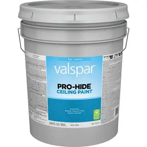 Valspar  5 gal Pro Hide Ceiling Paint, White