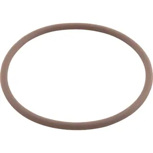 O-Ring, Viton, Zodiac Nature2 Fusion, Large Collar
