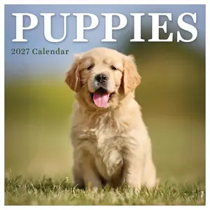 2027 Puppies Mini Calendar