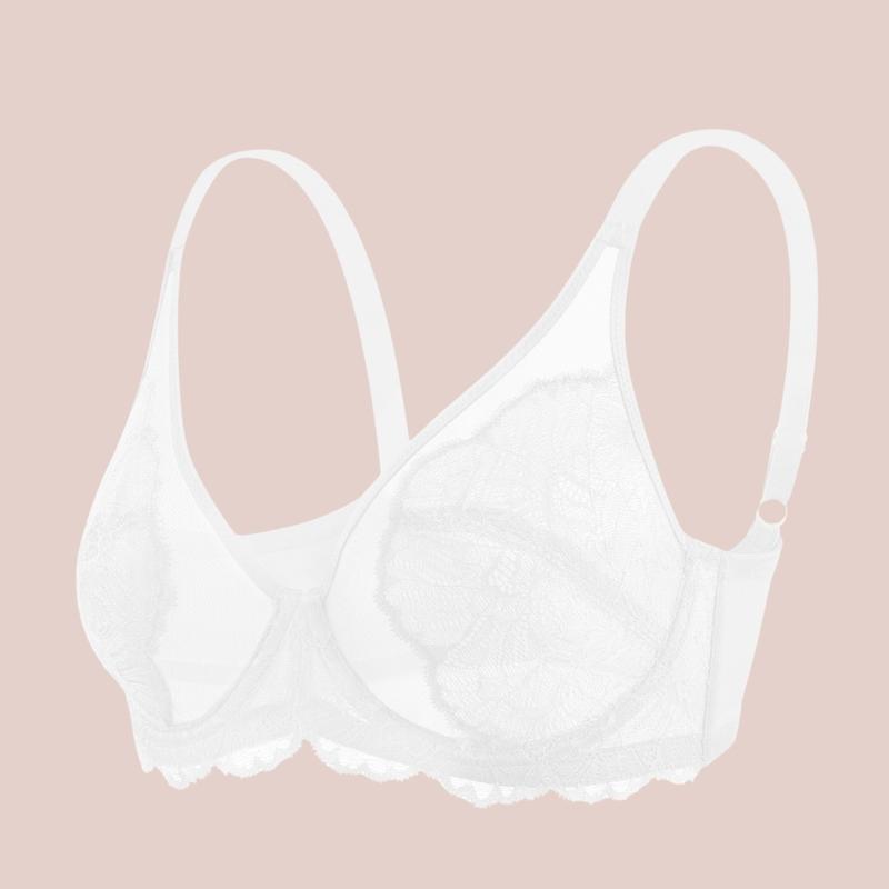 HSIA Blossom Floral Soft Lace Mesh Full Coverage Unlined Plus Size Underwire Bra  Womenswear Underwear