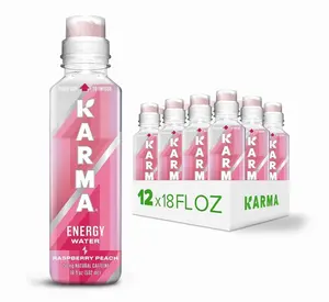 Karma Energy Drink – 12 Pack, Raspberry Peach Caffeinated Water with Cognizin Nootropics, Vitamins & Immune Support, Low Calorie