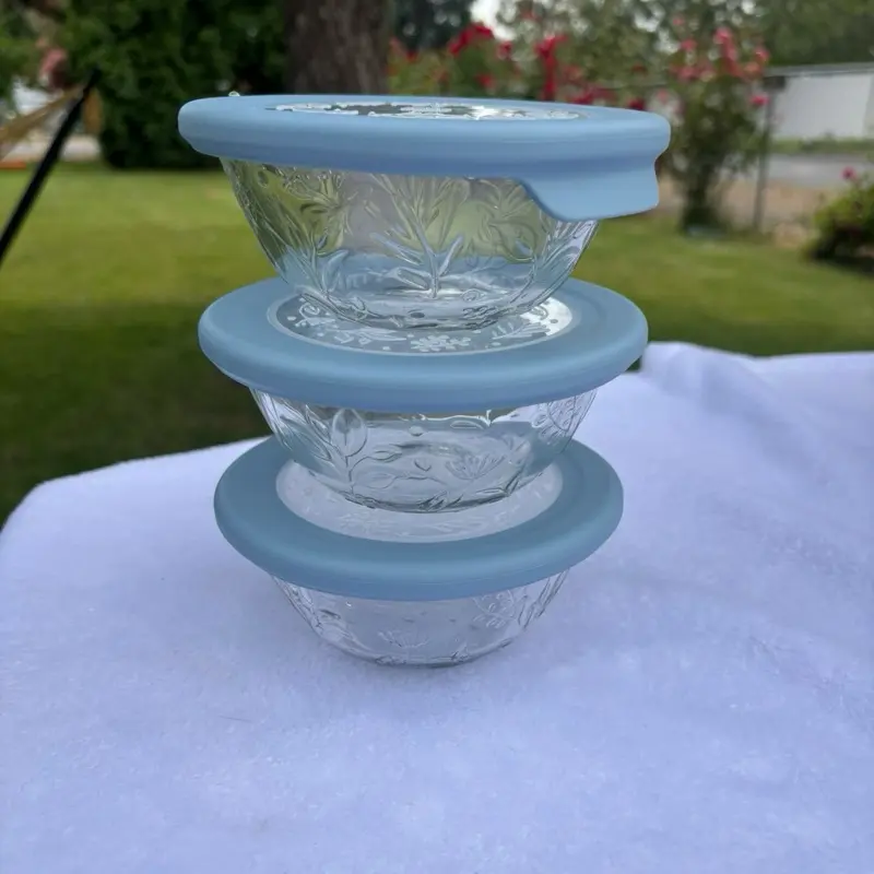 Tazones de Vidrio con Tapa - Set de 4